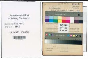 Entnazifizierung Theodor Hauschild , geb. 09.11.1894 (Maschinenmeister)