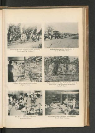 Silk-Thread Spinning, Sericulture Training Station.