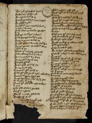 1r-84r Expositio brevis super quattuor libris sententiarum