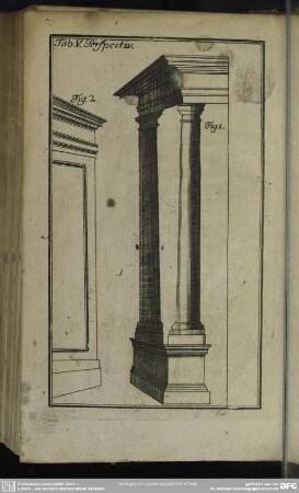 Tab. V. Perspectiv
