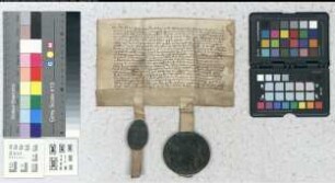 Der Domdechant Herbold von Papenheim gibt an Cord van Radenborge 1/2 Hove in der Obedientie Brochusen in Pacht gegen jährlichen Pachtschilling von 9 Schillingen.