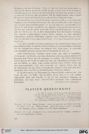 Platten-Querschnitt