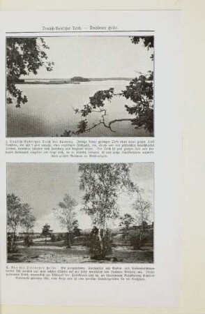 Aus der Dresdener Heide