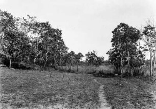 Talmulde : Talmulde im Pantanal. Links im Hein einige Sandsteinblöcke.