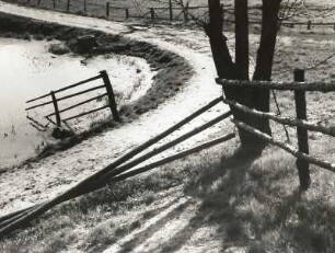 Wegbiegung an einer Viehkoppel zwischen Stolpen und Rennersdorf nach der Schneeschmelze