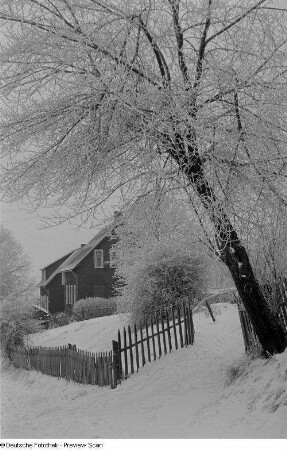 Winterlandschaft