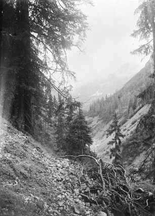 Tal bei Bschlabs : Blick in ein Tal bei Blschlabs an der Grenze der Allgäuer Alpen.