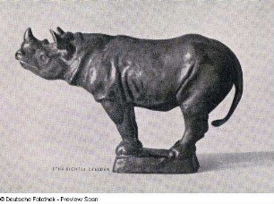 Junges Nashorn
