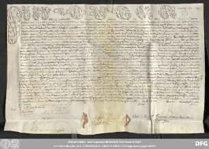 [Halle (Saale), Universitäts- und Landesbibliothek Sachsen-Anhalt, Morbio 31 (35)]