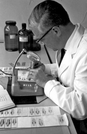 Freiburg: Hygieneinstitut; Prof. Hummel; bei Serumsuntersuchungen
