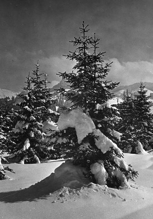 Winterlandschaft