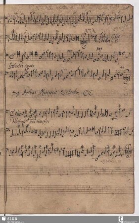 78. Cifra, Antonio: Laetentur omnes