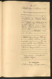 Standesamtsbuch der Stadt Aschaffenburg: Geburten 365/1900 - 184/1901