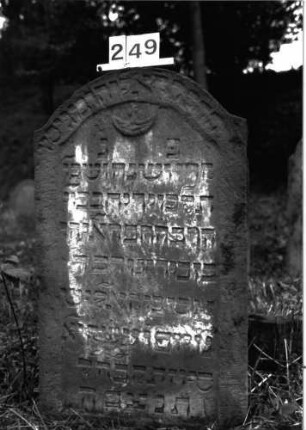 Grabstein 249