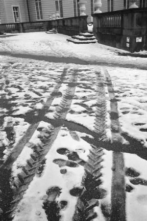 Wintertag im Schlossgarten