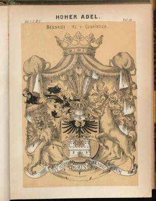 Taf. 51. Bianchi Hz. v. Casalanza.