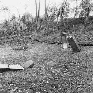 Jüdischer Friedhof; Bad Nauheim, Auf der Lattkaute