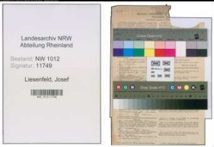 Entnazifizierung Josef Liesenfeld , geb. 24.10.1897 (Kaufmann)