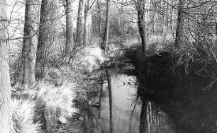 Neschwitz-Weidlitz. Kobanmühle, an der Straße nach Loga