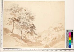 Bergige Landschaft mit Bäumen