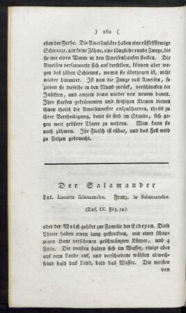 Taf. IX. Fig. 54. Der Salamander Fig. 55. Der Goldtropfen Fig. 56. Der Laternenträger Fig. 58. Der Bernharduskrebs Fig. 57. Die Spinne