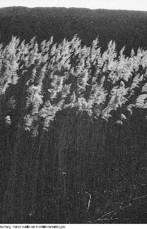 Rösa-Brösa (Kreis Bitterfeld), Landschaften, 1957