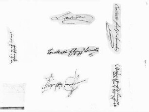 Unterschriften der Grafen und Fürsten zu Löwenstein-Wertheim: Ludwig I. von Bayern-Löwenstein Wolfgang Graf zu Löwenstein-Scharfeneck Friedrich II. ? Constantin Fürst zu Löwenstein-Wertheim-Rochefort Constantin Erbprinz zu Löwenstein-Wertheim-Rochefort