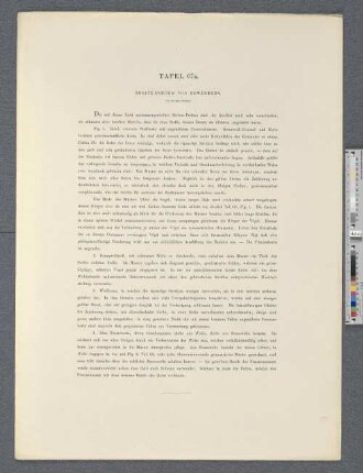 Tafel 67a. Besatz-Borten von Gewändern.