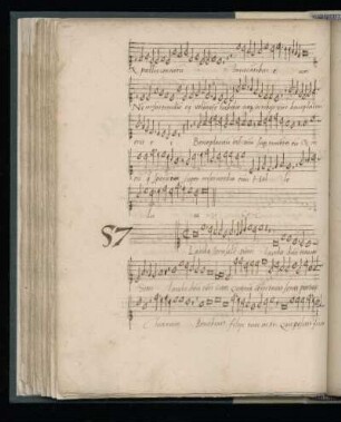 57. Lauda Ierusalem dominum