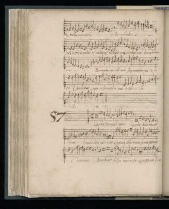 57. Lauda Ierusalem dominum