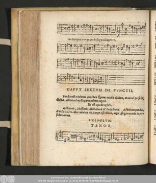 Caput Sextum De Punctis.