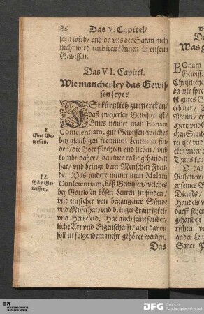 Das VI. Capitel. Wie mancherley das Gewissen seye?