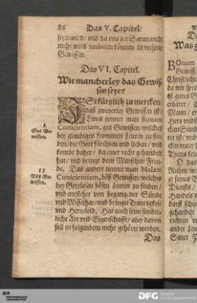Das VI. Capitel. Wie mancherley das Gewissen seye?