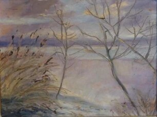 unbenannt [Winter am Seeufer]