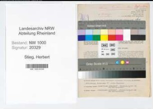 Entnazifizierung Herbert Stieg, geb. 07.01.1907 (Kaufm.Angest.)