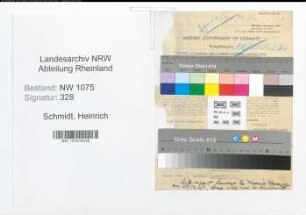 Entnazifizierung Heinrich Schmidt , geb. 19.09.1897 (Arzt)