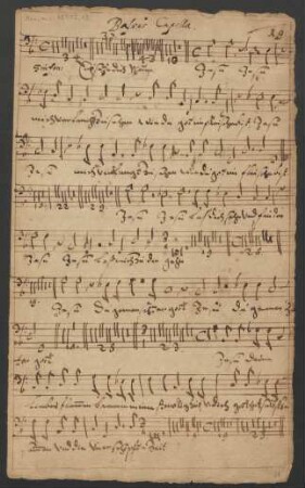 Bassus Capella