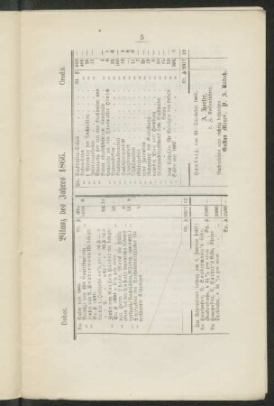 Bilanz des Jahres 1866.