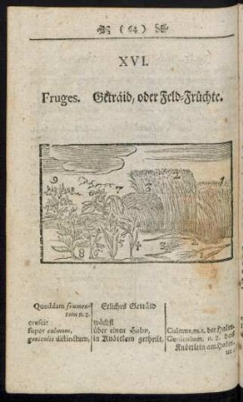 XVI. Fruges. Geträid, oder Feld-Früchte