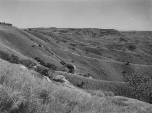 Hügellandschaft : Blick über eine Hügellandschaft im südafrikanischen Tafelland