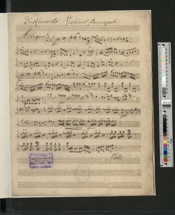 Violino Principale