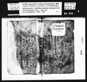 Lager- und Gültbuch über Baumerlenbach (fortgeführtes Exemplar mit nichtdatierten Nachträgen).