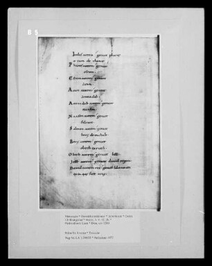Codex 12: Evangeliar — Textseite, Folio 8 verso