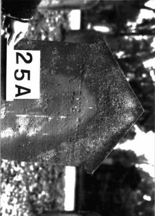 Grabstein A I/10/25A