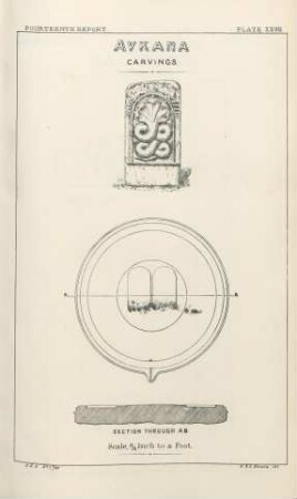 Plate XXVII. Avkana carvings. Section through AB