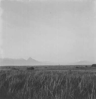 Panorama : Panorama der Virunga-Vulkankette zum Westrand des Grabenbruchs