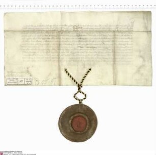 Kaiser Karl IV. gestattet Heinrich [von Kranlucken], Abt von Fulda, Kanzler der Kaiserin Anna, und seinen Nachfolgern aus seiner Burg Bingenheim e...