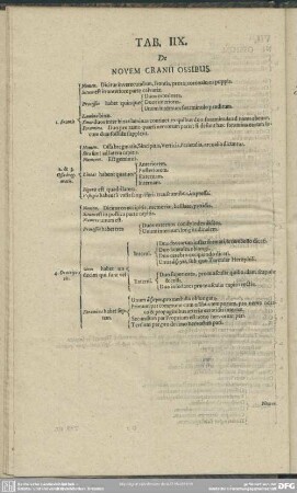 Tab. IIX. De Novem Cranii Ossibus