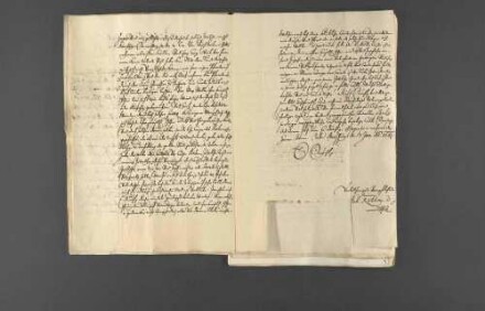 Pfalz-Zweibrücken-Bischweiler Vormundschaftsakten (Fasc. VIII).