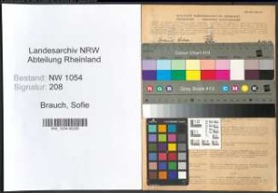 Entnazifizierung Sofie Brauch , geb. 10.01.1889 ()
